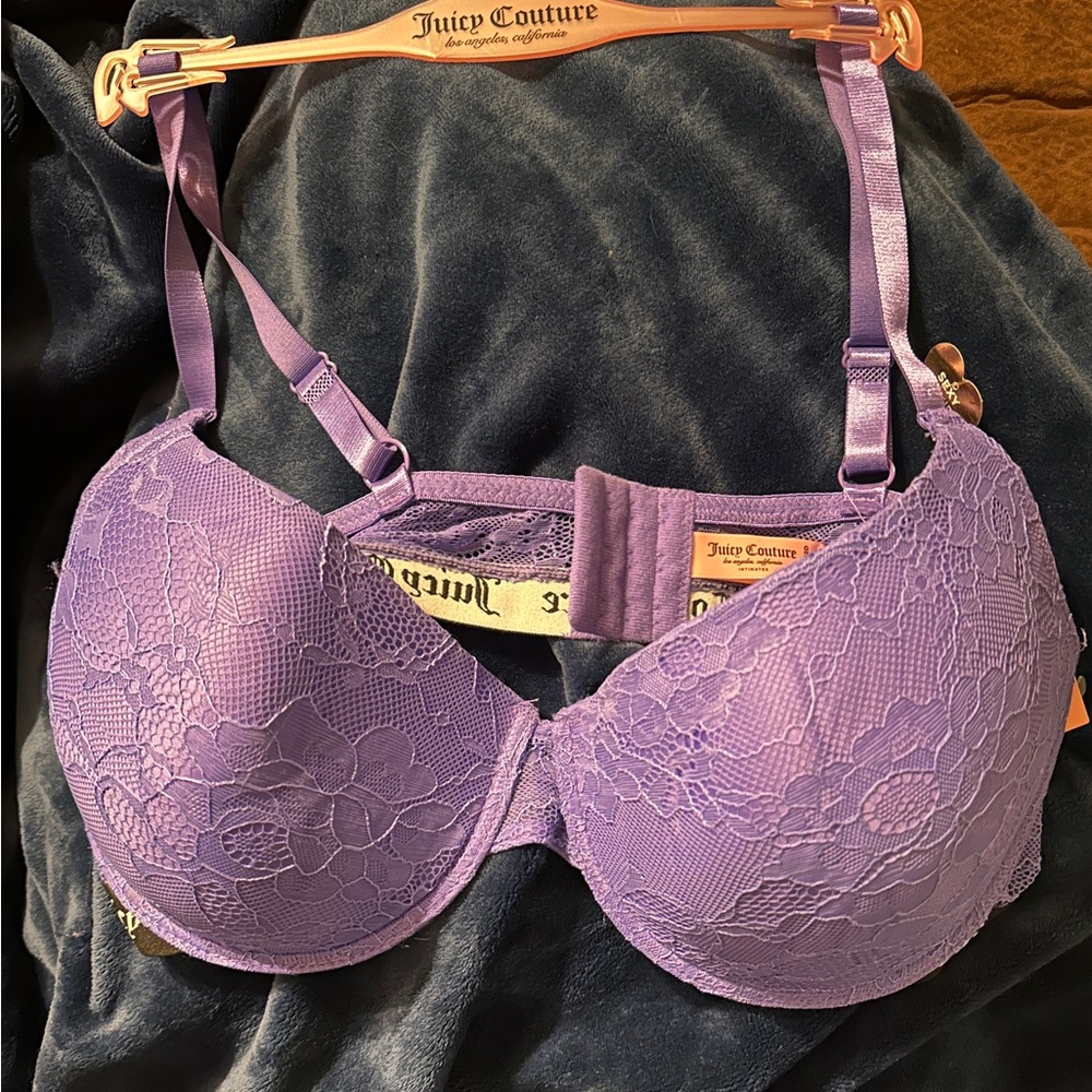 Juicy Couture Purple Lace Bra NWT Size 42D